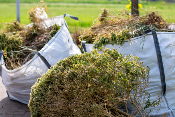 Best Local Junk Hauling  in Ellicott City, MD
